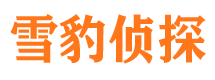 天长侦探公司